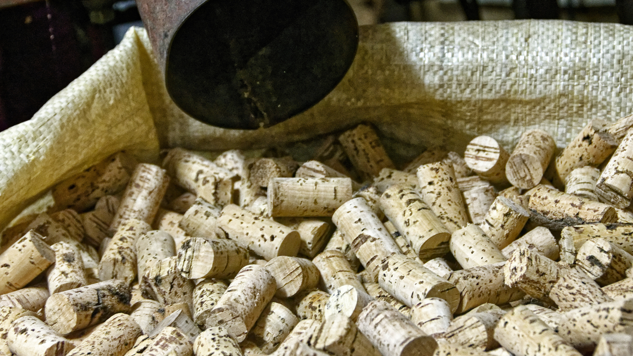 20230524 133633•Calangianus•Sardinia•Italy